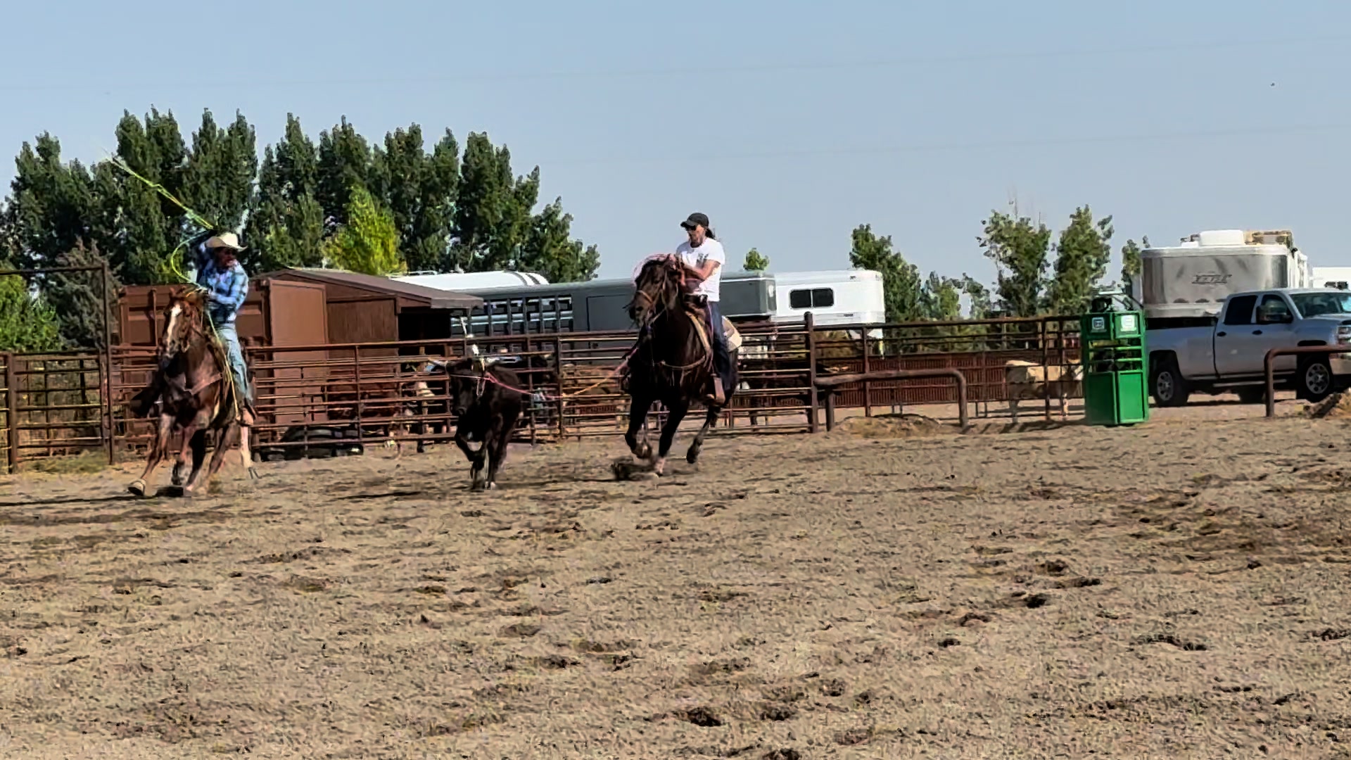 S/B Rope Horses - S/B Rope Horses added a new photo.