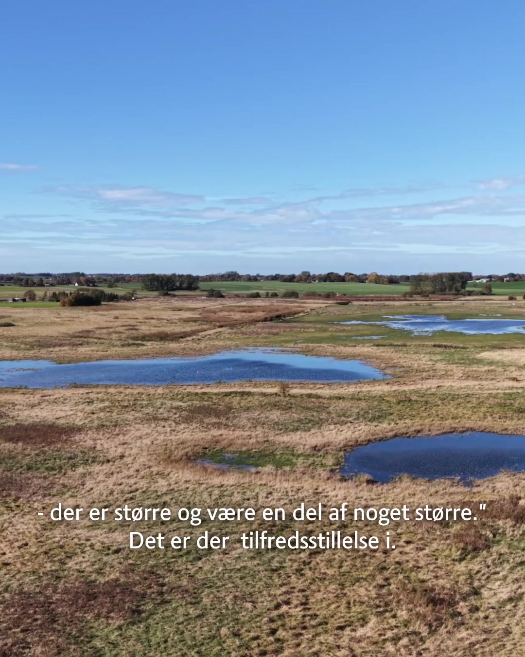 Efter 230 år med drænede marker pibler vandet igen frem ved Søborg Sø i ...