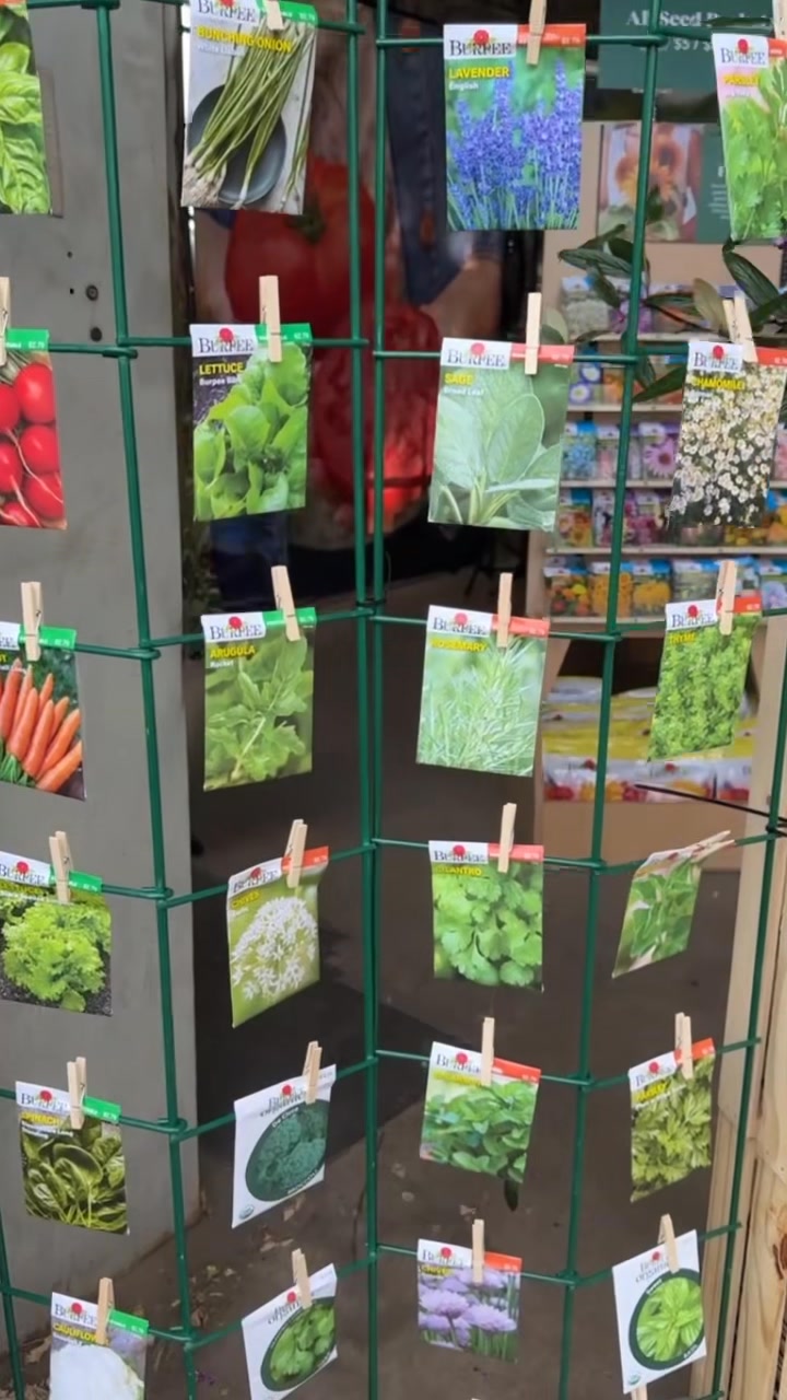 Your “Second Summer” harvest awaits. 🥬 At the Burpee Summer Open today ...