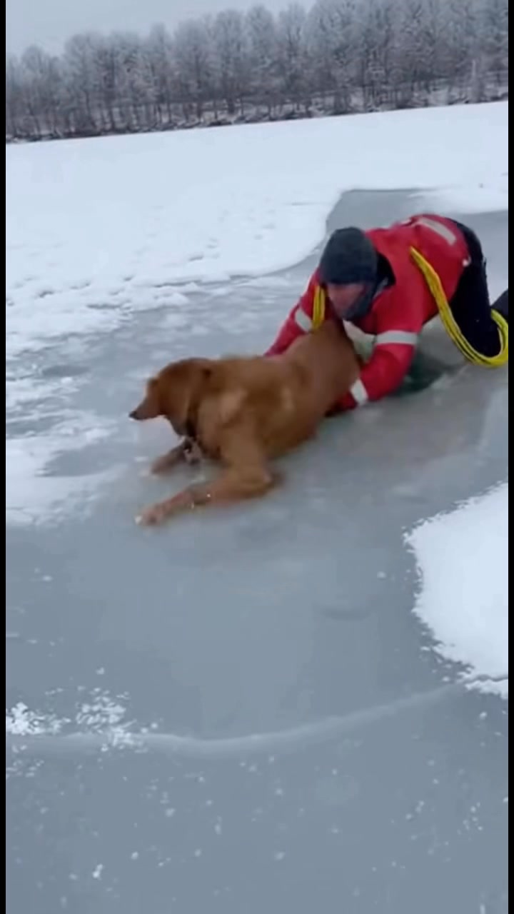 Thin ice can fail without warning. In freezing water, every second ...
