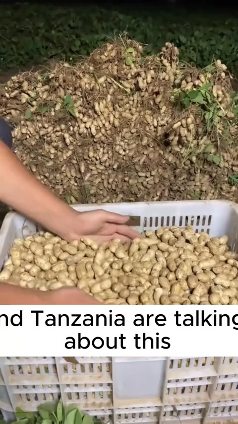 🚜 Farmers’ #1 Secret to High Yield! https://mzigoshop.store/products ...