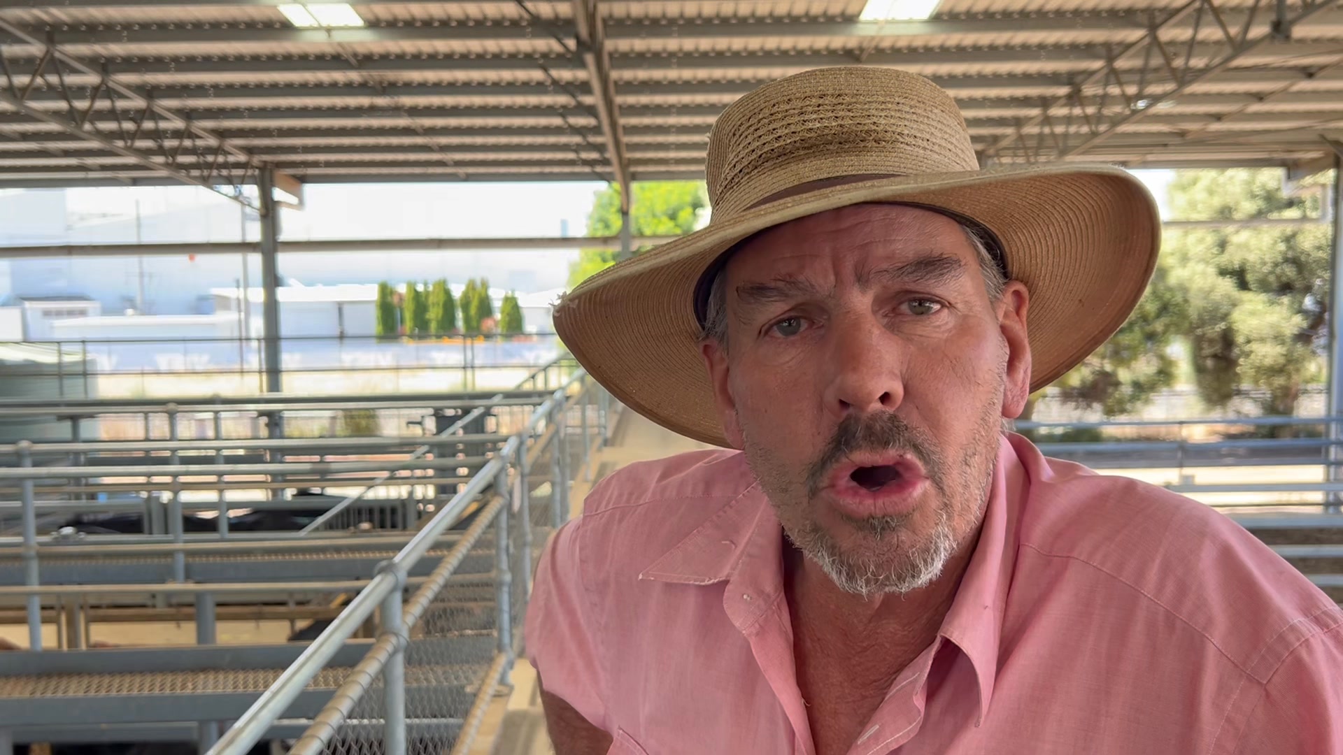Elders Shepparton market report on the 9th of December 2025 with Rob ...