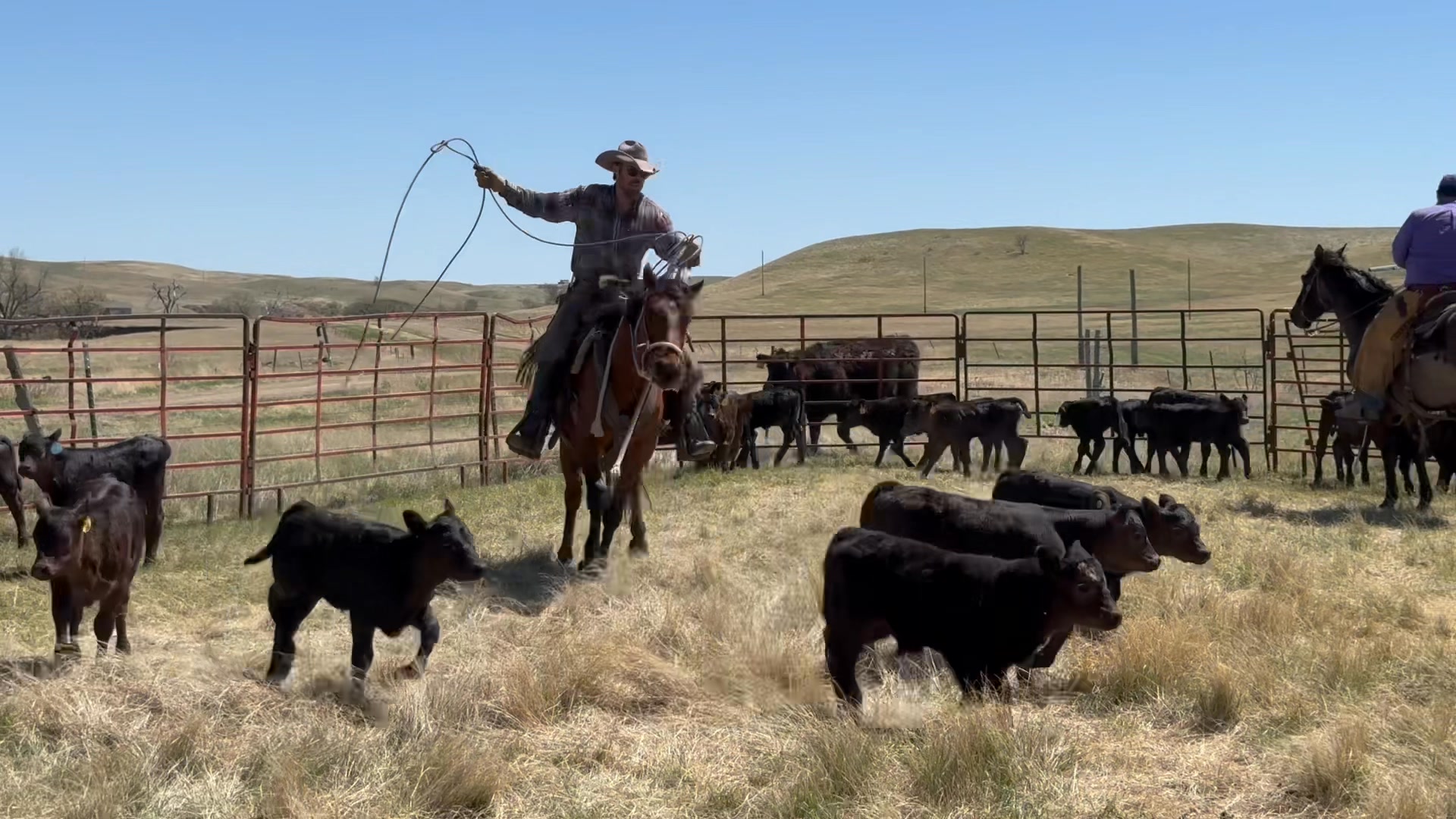 This past weekend, I got to take our young horses, Tahoe (turned 3 in ...
