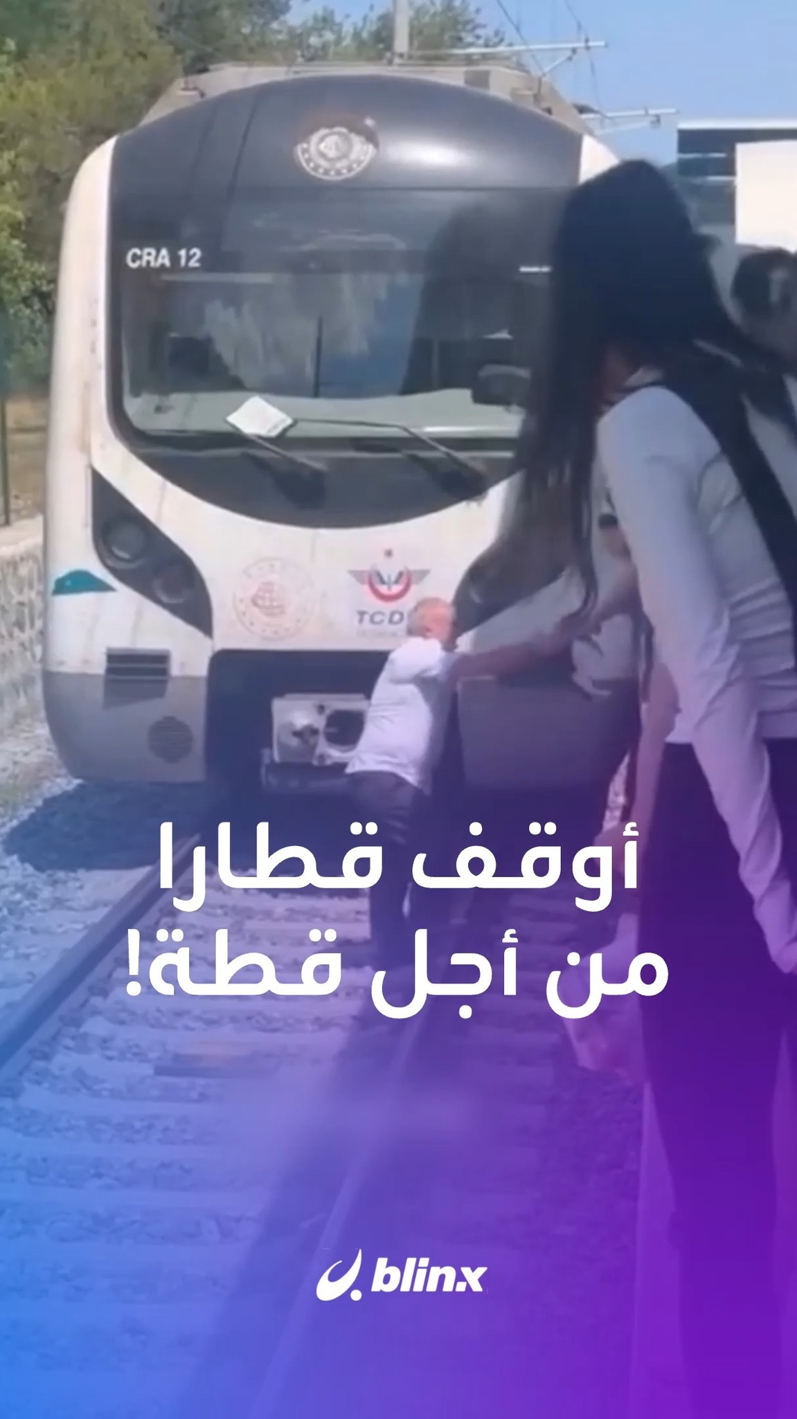 سائق قطار في إسطنبول يوقف القطار فجأة لإنقاذ هرة كانت عالقة على سكة ...