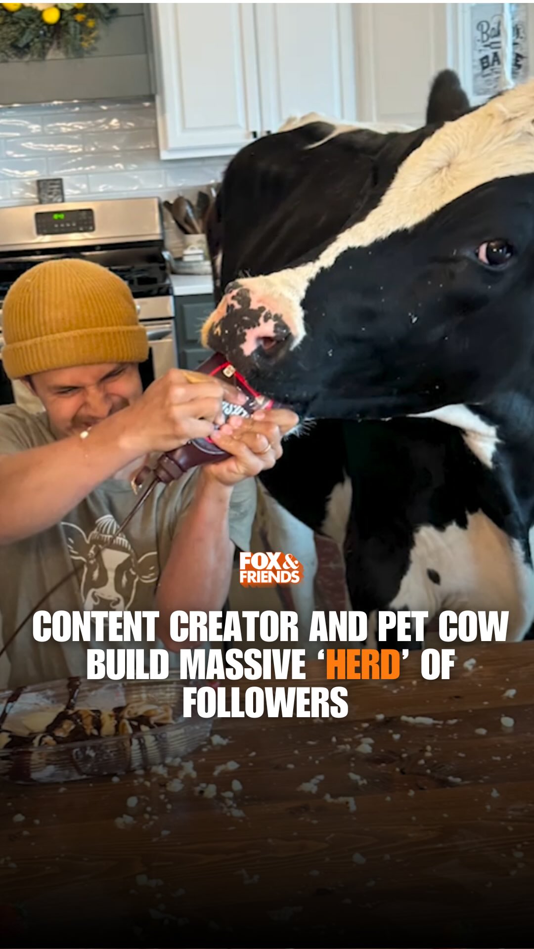 “MOO-VE OVER, INTERNET!” Content creator @elias_filmz raised Bruce the ...