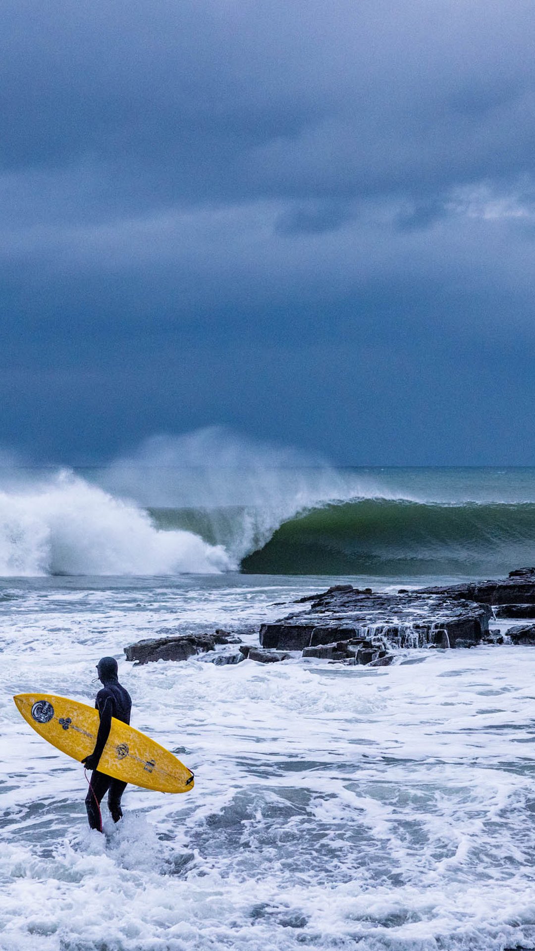 The Surfer's - 