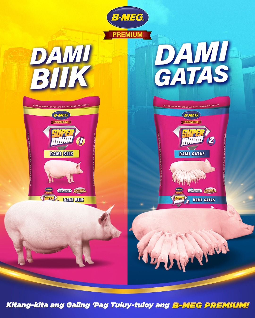 Mag B-MEG PREMIUM Super Inahin 1: mula Day 1 hanggang Day 100 ng ...