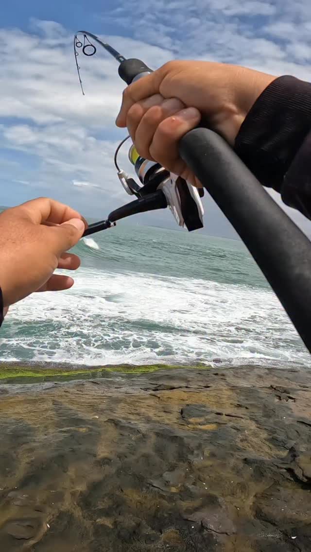 A mão chega a tremer com a puxada. Pescaria com isca artificial é muito ...