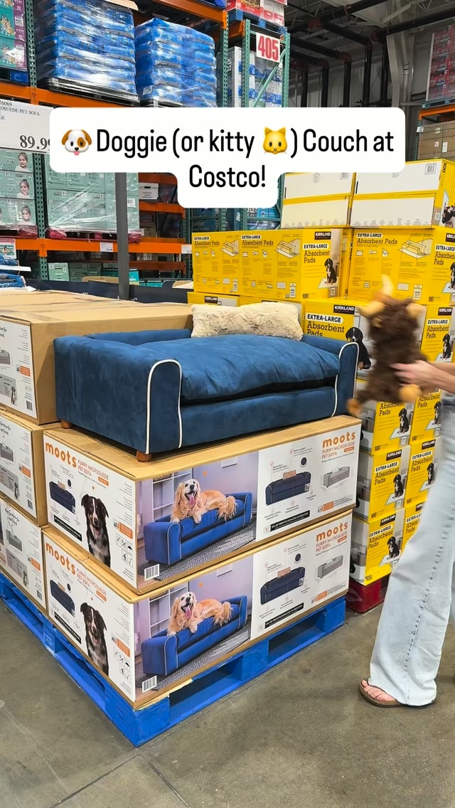 Stop it!! 😩🐾 This little pet couch! | Costcohotfinds