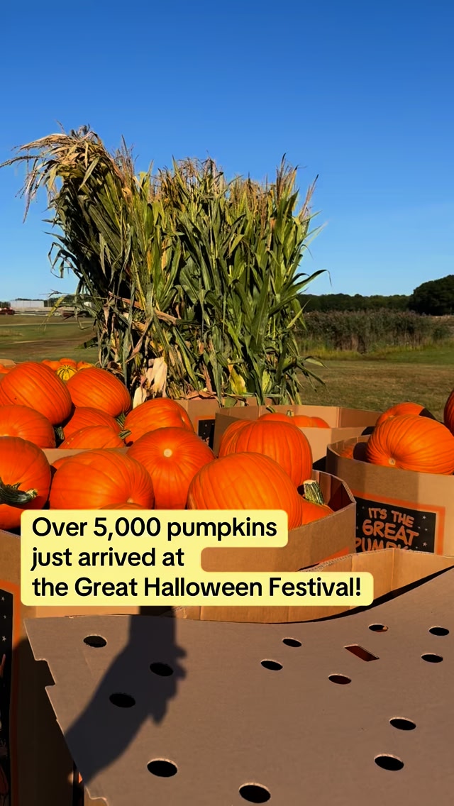 5,000+ pumpkins. One pumpkin patch. 🎃 At The Great Halloween Festival
