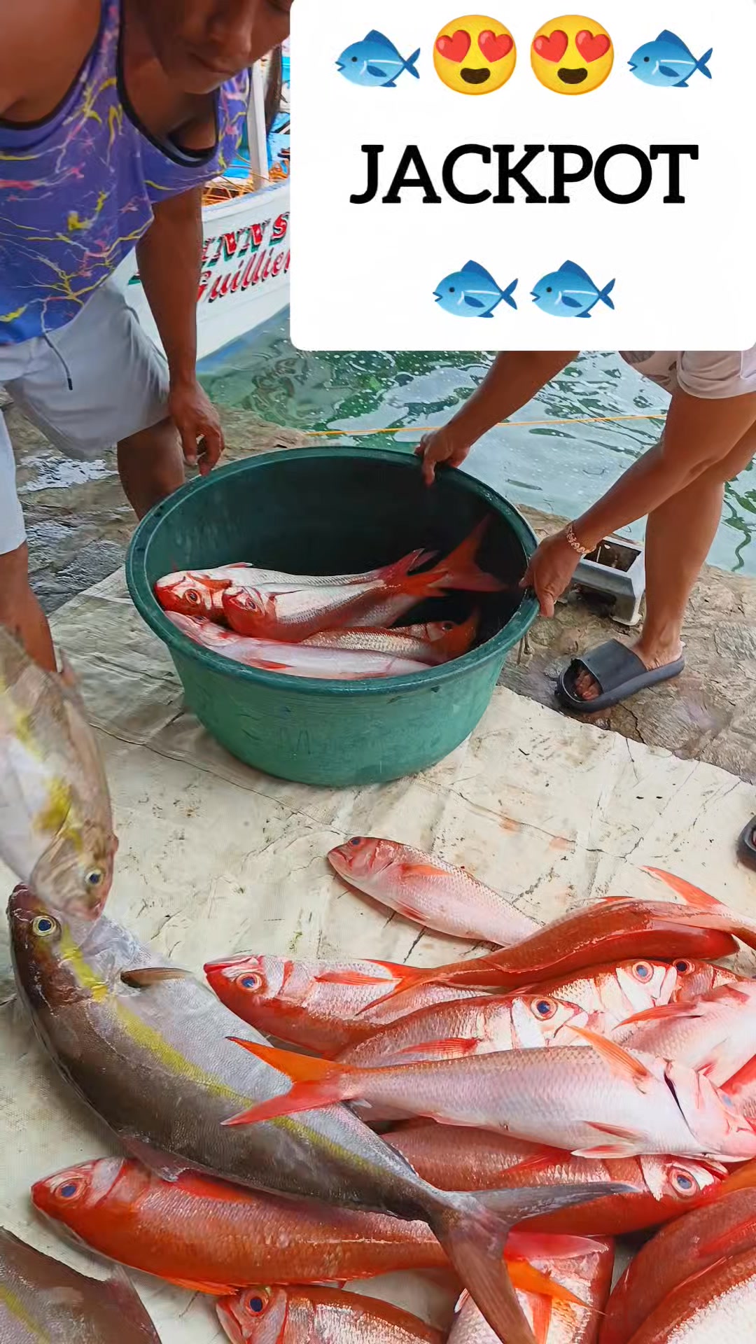 Wow na wow🐟😍🥰🙏🙏 #fishing #fishermanslife #fishingtrip | SaKaragatan ...