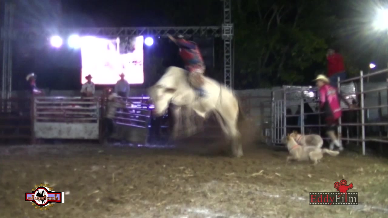 Jinetes Profesionales de Rodeo | Guatemala City