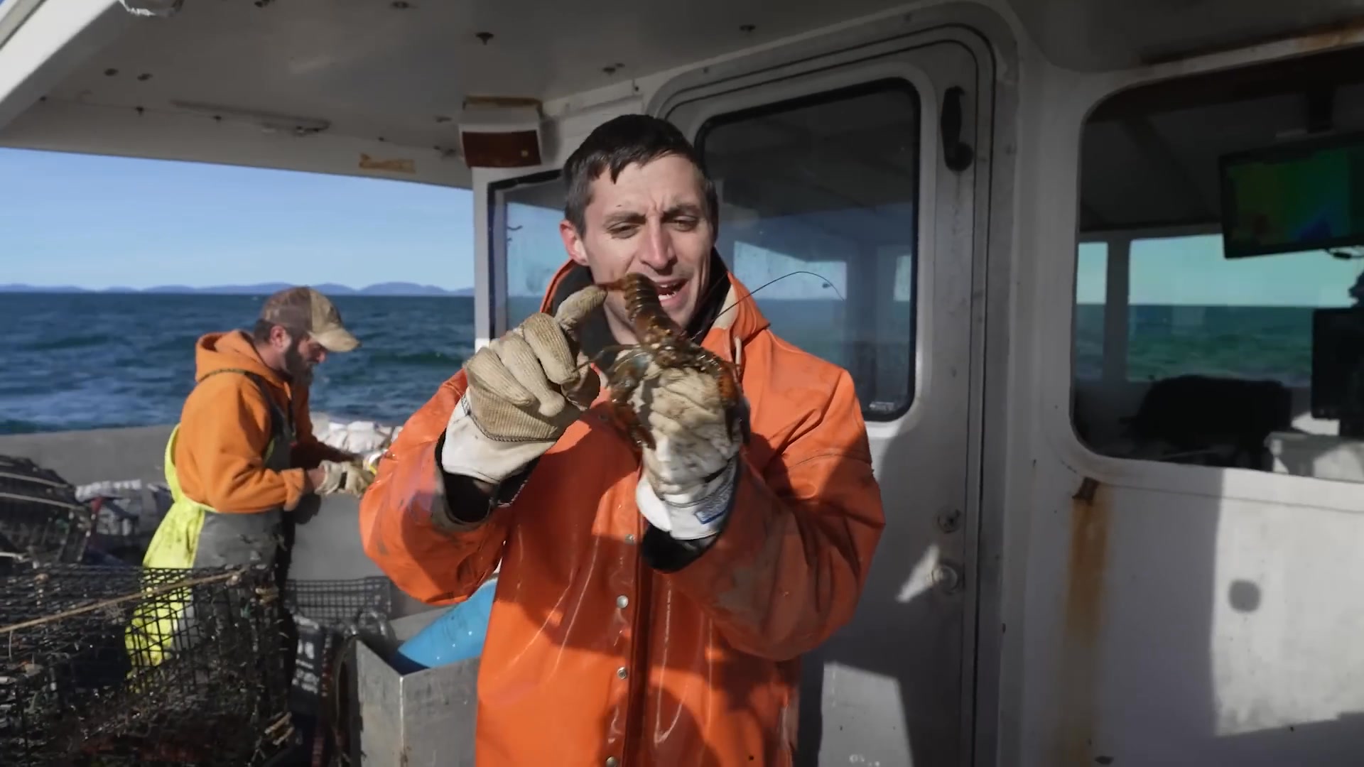 MASSIVE Maine Lobster! (100 years old?!) | Jacob Knowles | Facebook