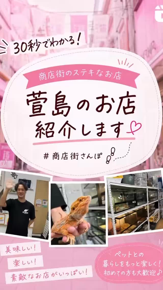 ずーち 焼き立てチーズケーキのお店