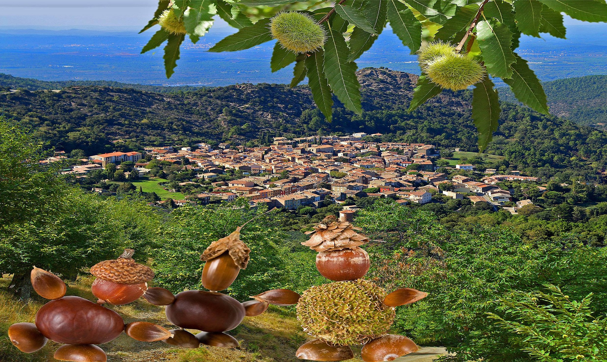 Fete De La Chataigne La Garde Freinet 2022