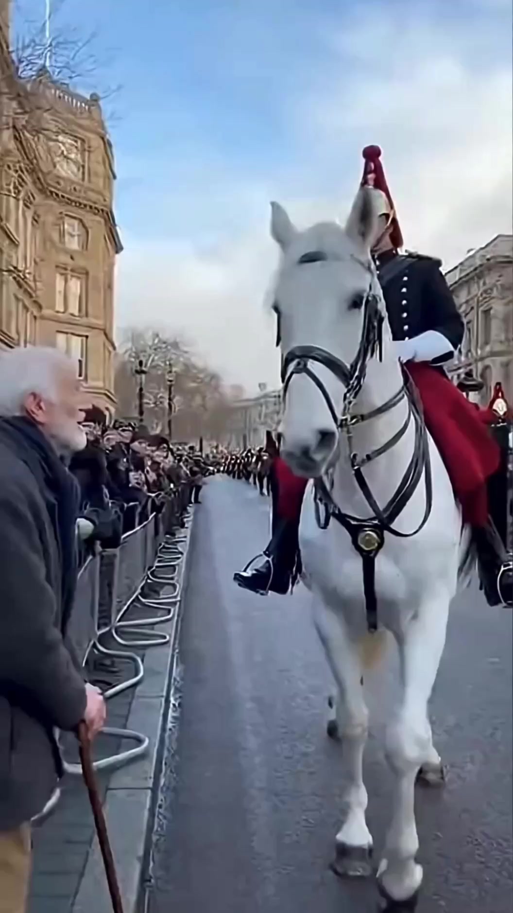 Royal Guard Horse Kneels for a Disabled Elderly Man....!!!! # ...