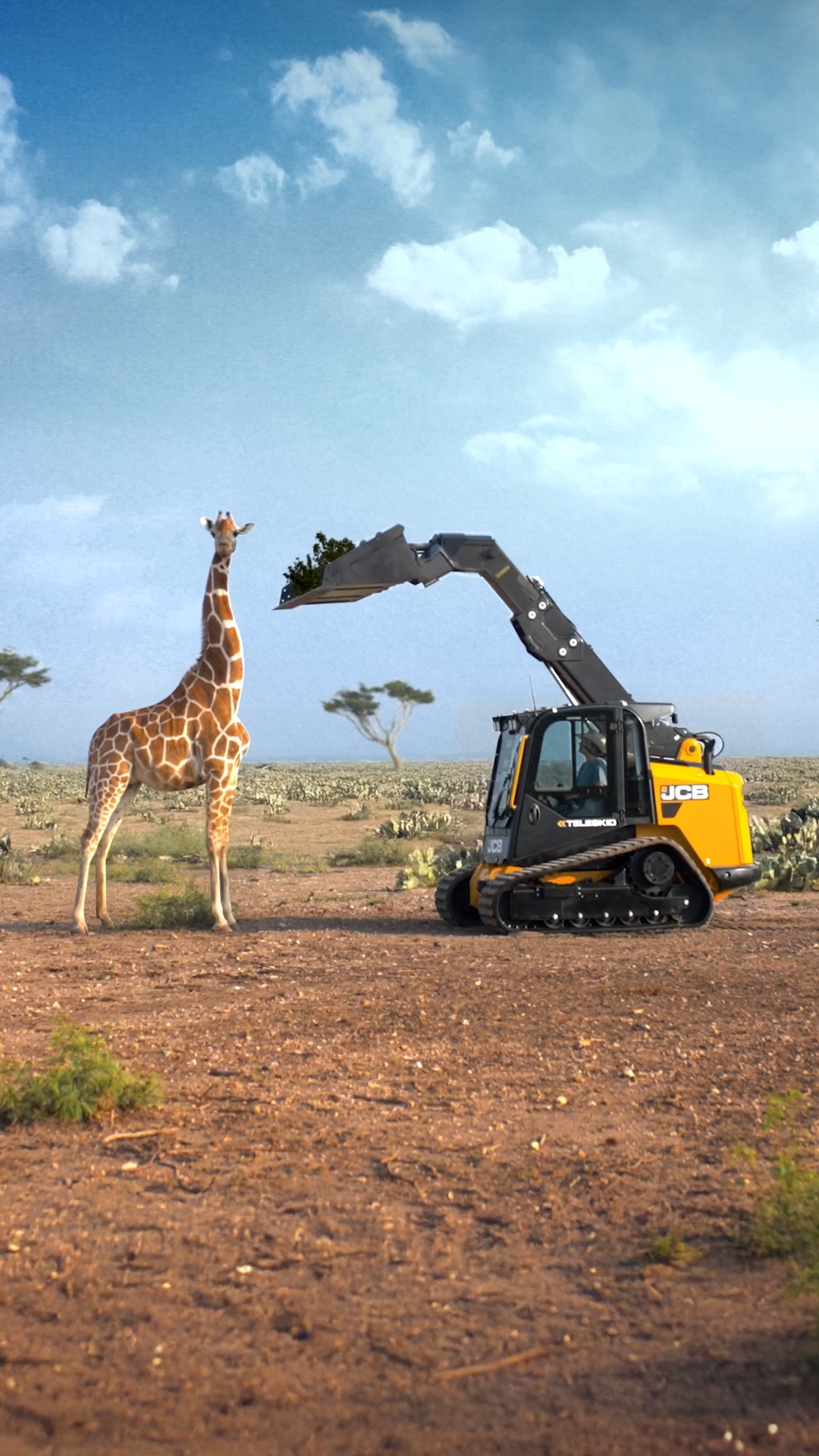 The giraffe tried the JCB Teleskid and loved every moment! Ready to see ...