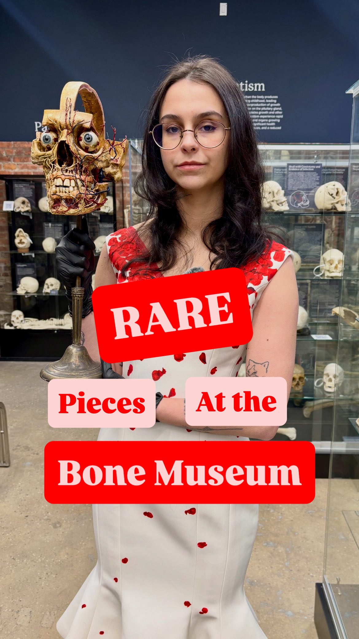 Step into a realm where history and science converge at The Bone Museum ...