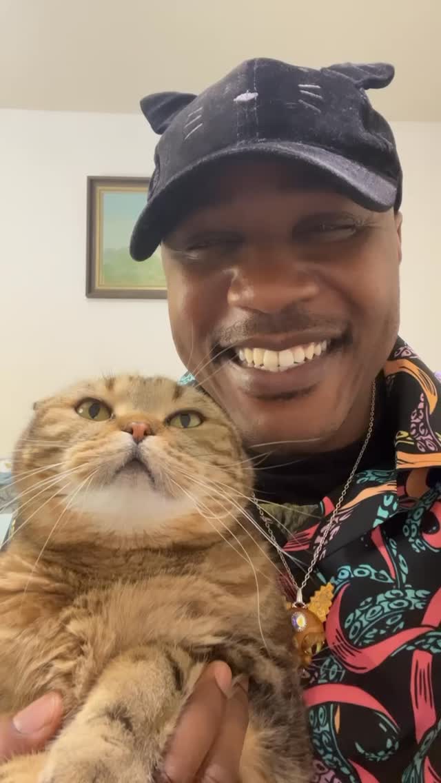 Got these cats! Throw it back! Throw it back! Shoutout to all our cat ...