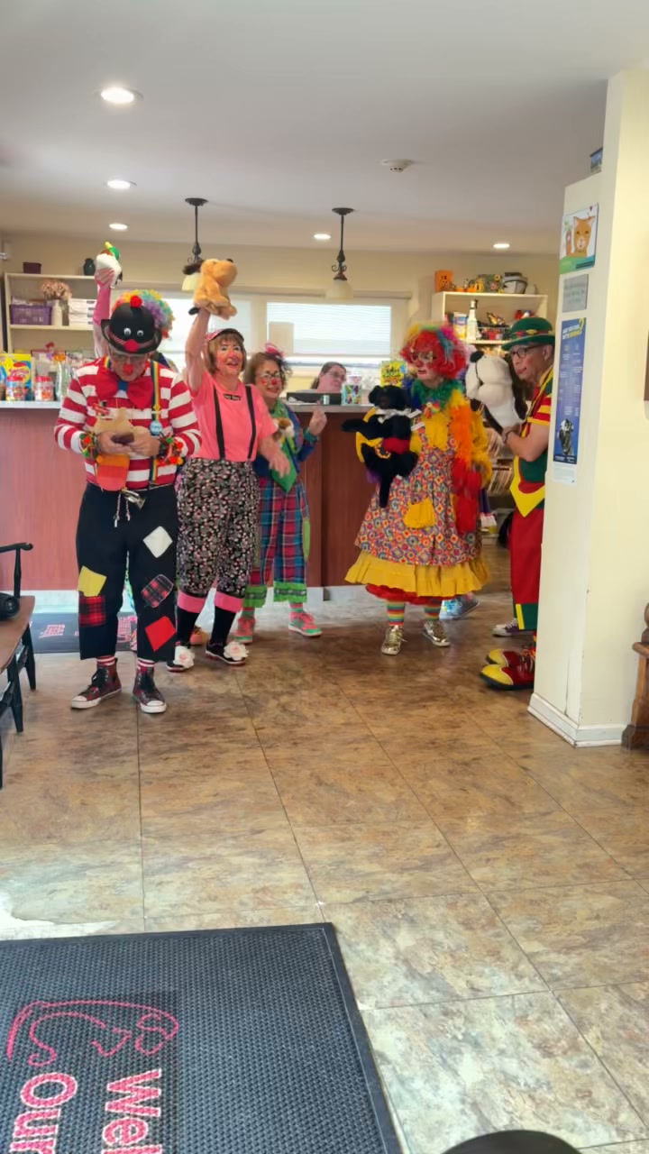 Call Us Clowns | Saddle River NJ