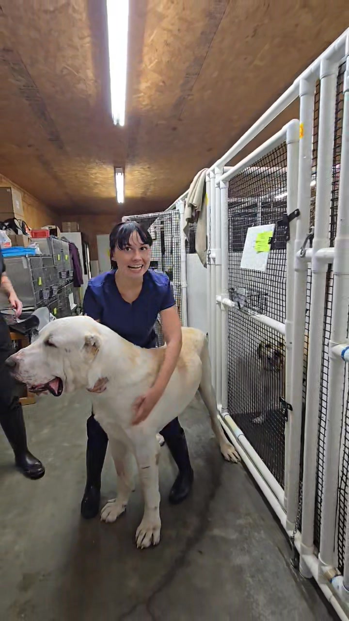 The staff here at the Pea Ridge Veterinarian clinic absolutely love ...