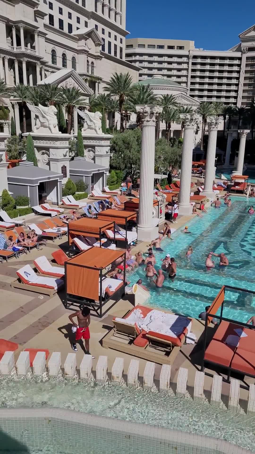 One of Las Vegas' Most Iconic Pools | Jacobs Life in Vegas | Facebook