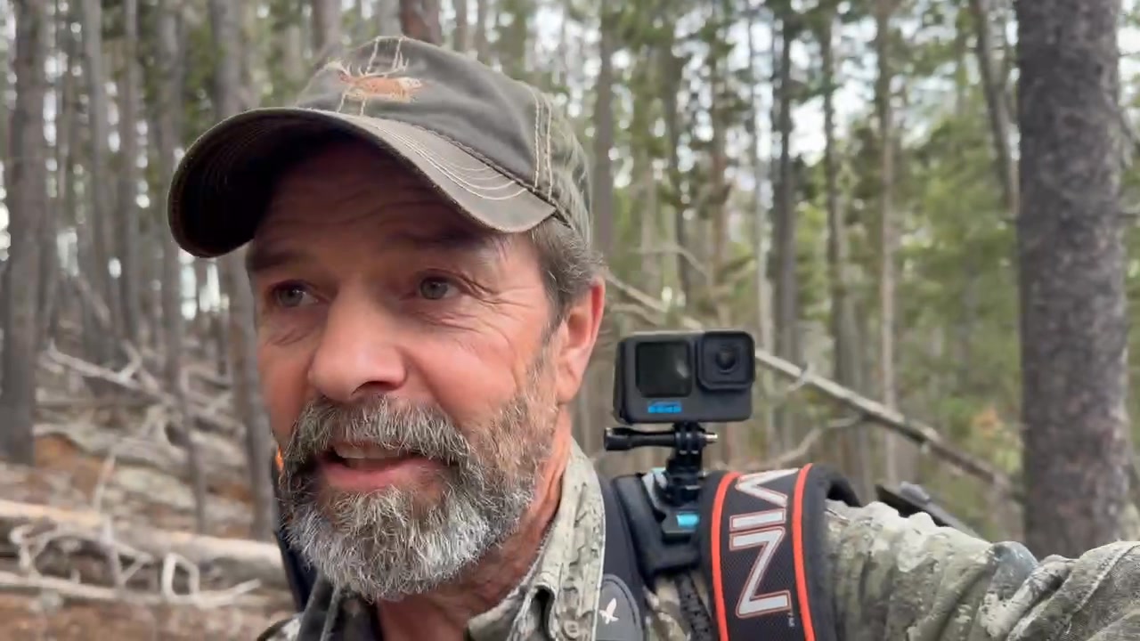 Elk update this morning | Rick Labbe | Facebook