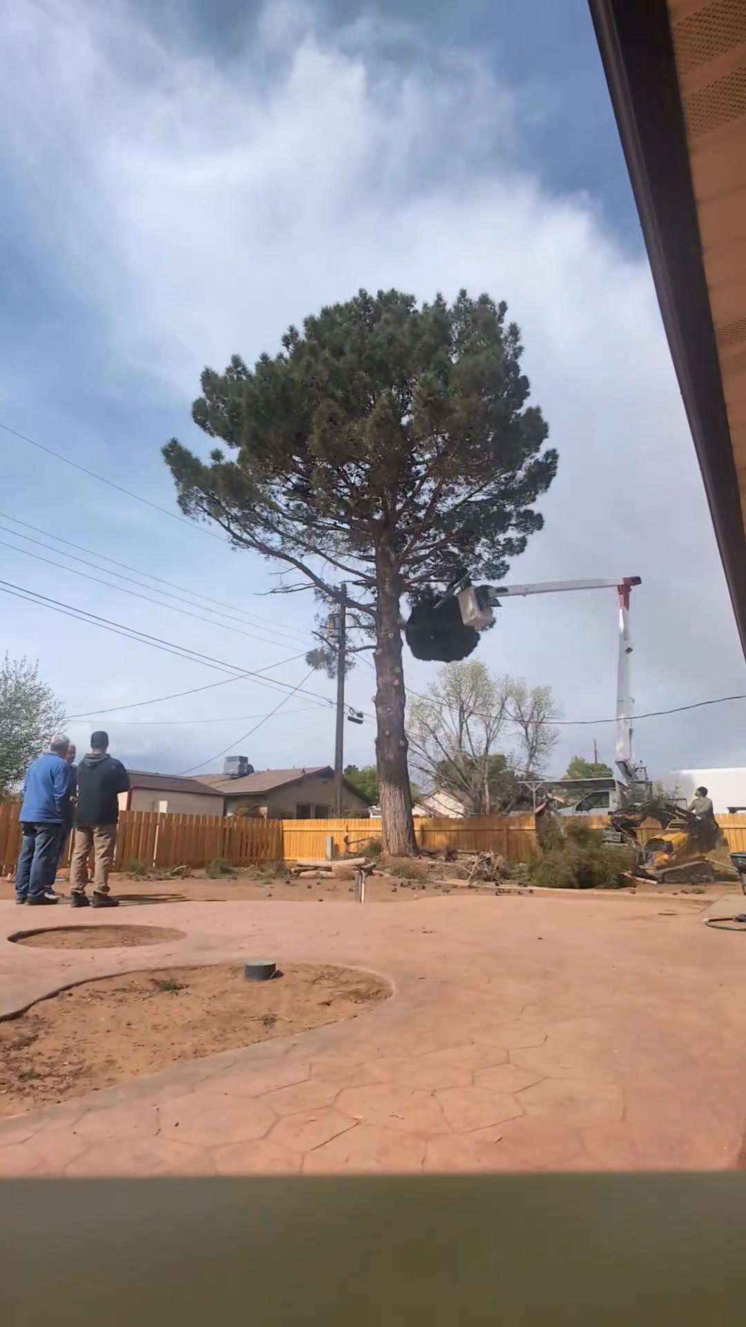 Advanced Tree Solutions | Washington UT