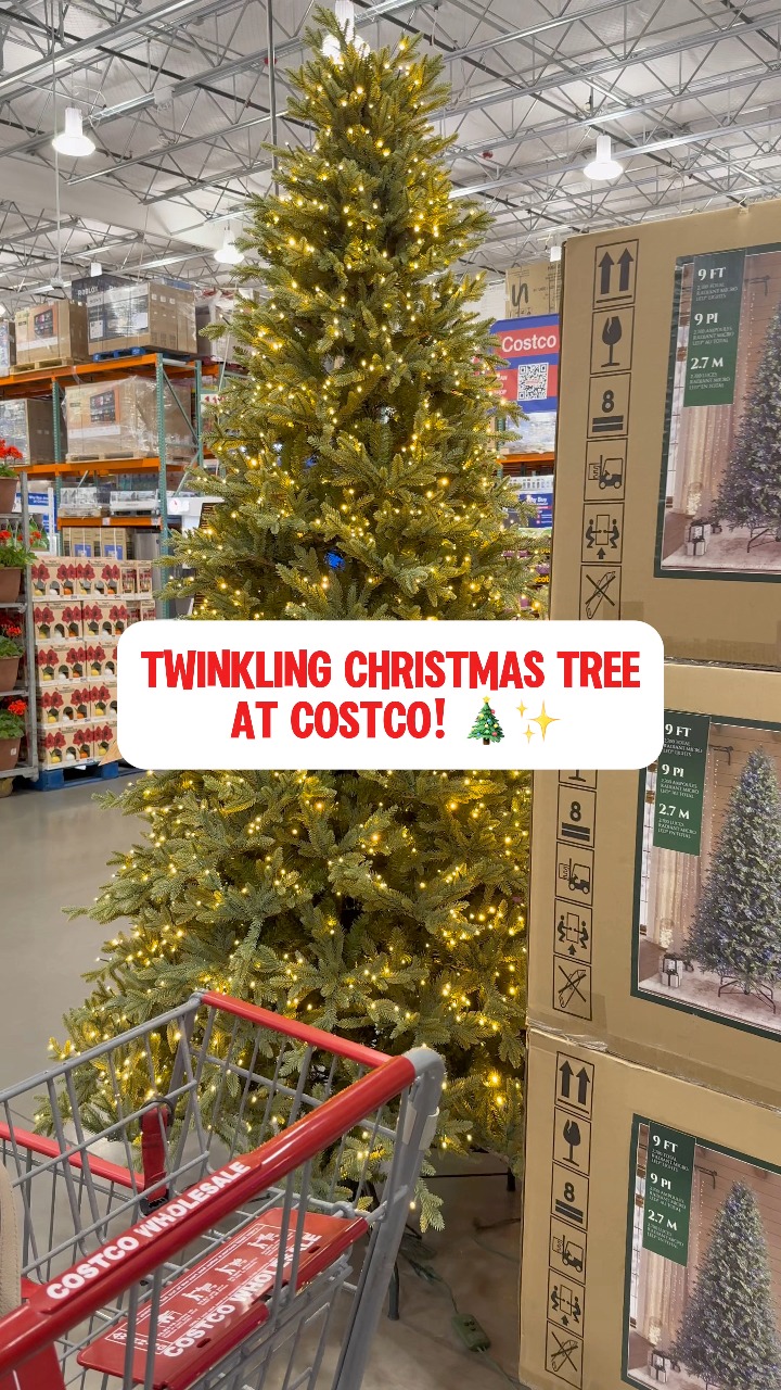 Twinkling lights Christmas tree | costcoguide