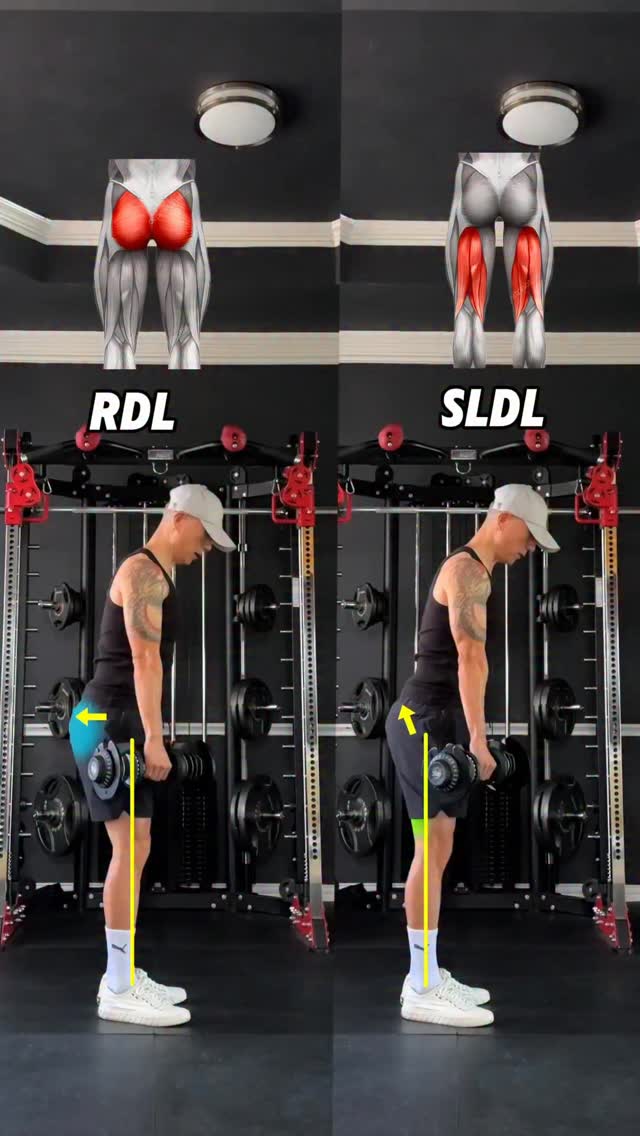 RDL vs SLDL, glutes vs hamstrings #homeworkout #gymtips #rdl ...