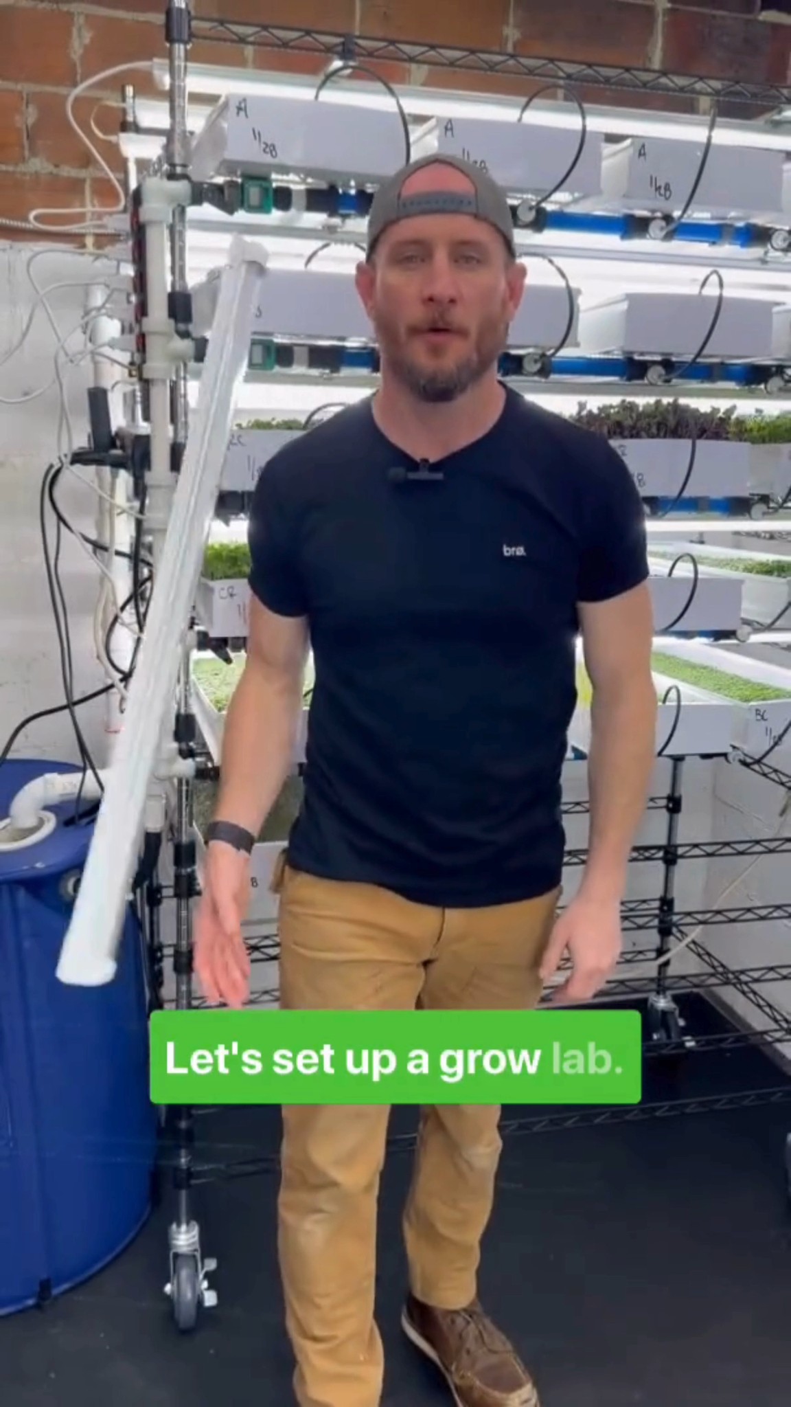 Going back to our roots and setting up a grow lab in the room where it ...