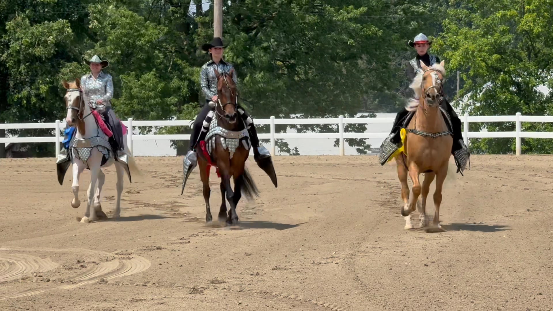 Open Parade Horse Class. Thank you for showcasing your magnificent ...