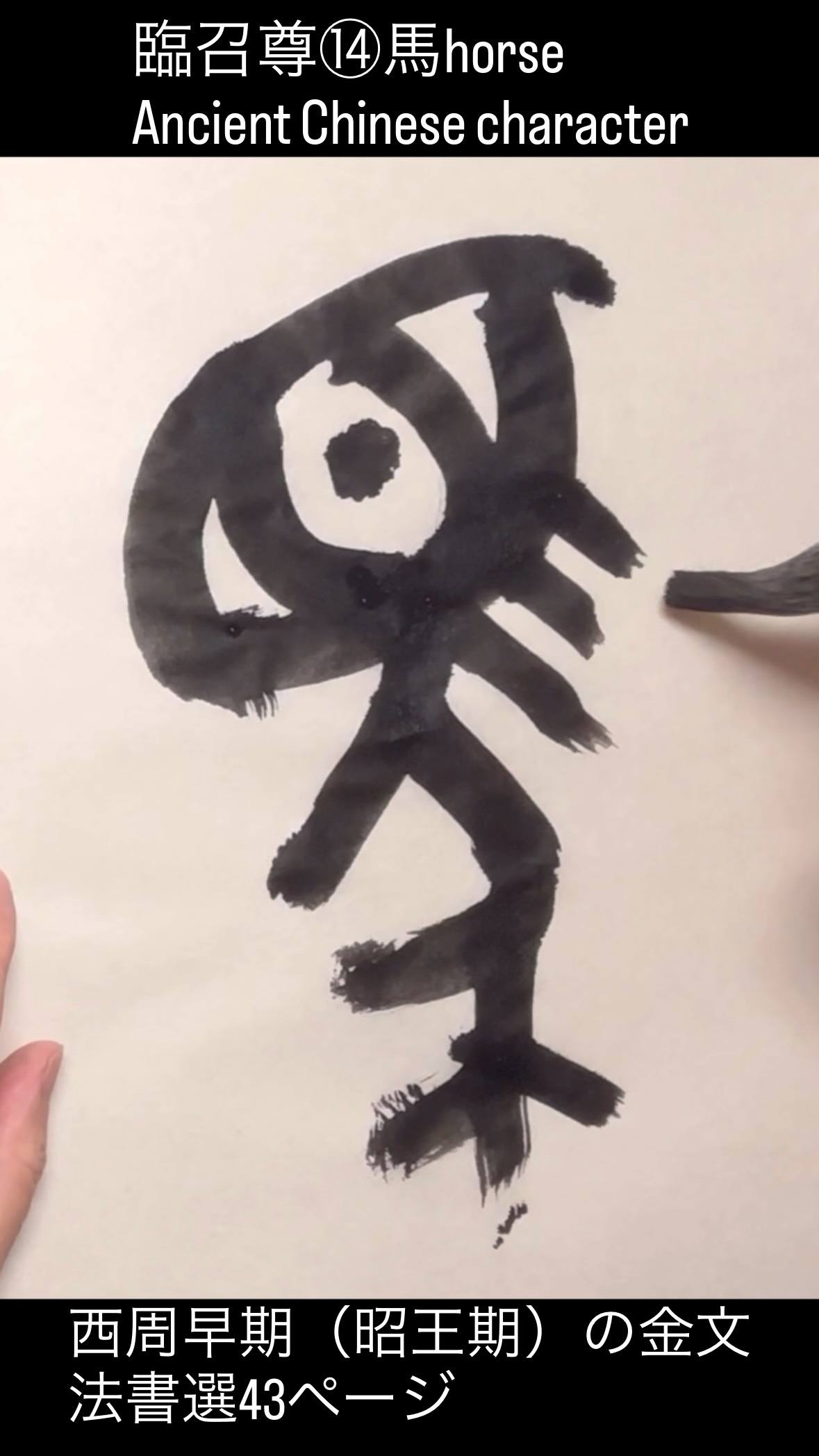 臨召尊⑭馬horse Ancient Chinese character 西周早期（昭王期）の金文 法書選43ページ 墨 ...