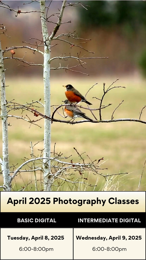 Spring Digital Photography Classes 🌱 Learn to capture the sights of ...