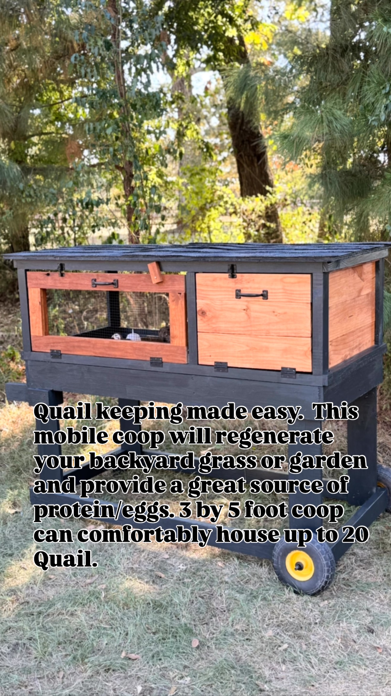 Contact us to place an order. #quail #fresheggs #farmfresh # ...