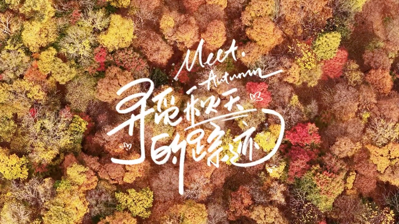 Harbin’s autumn is like a gentle artist with a lively brush, painting ...