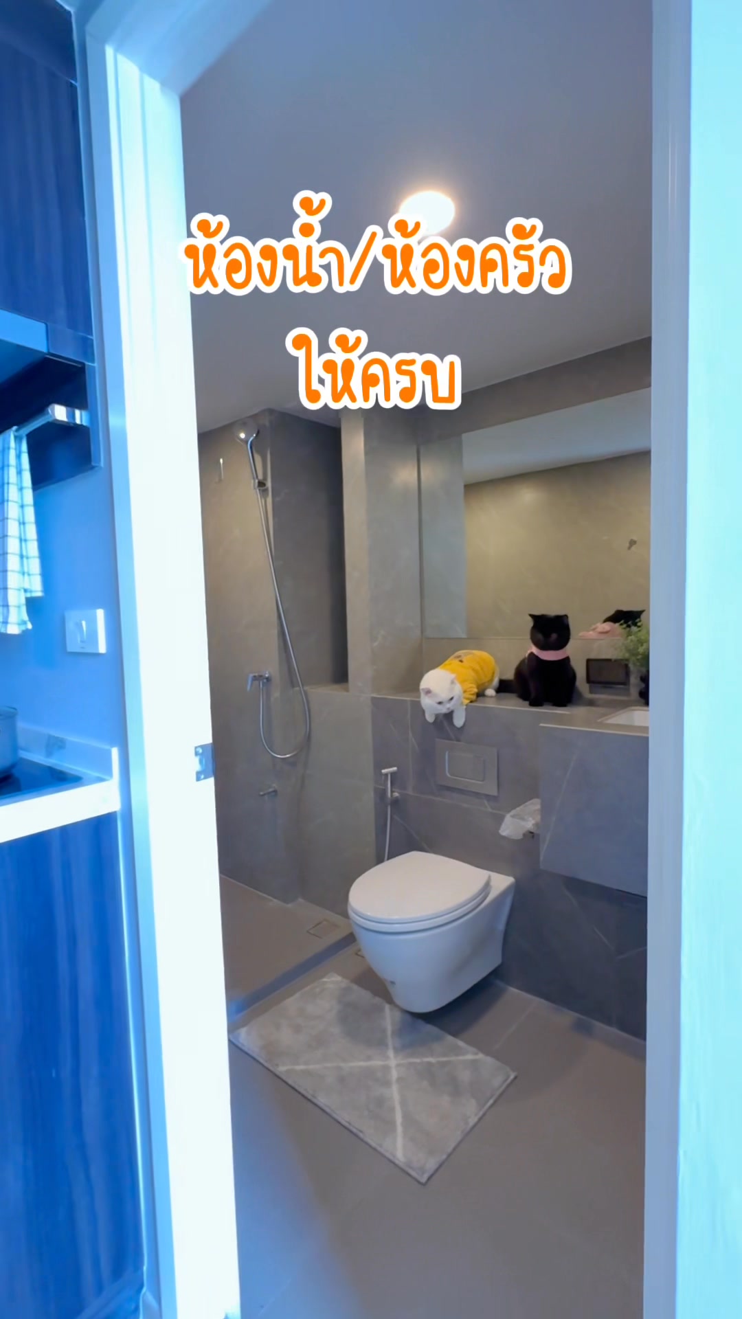 เลี้ยงและพี่โอลาฟ พามาดูเรือนหอใหม่ถูกใจพวกเรา 🐾🏙️ | โอลาฟแมวพูดได้ ...