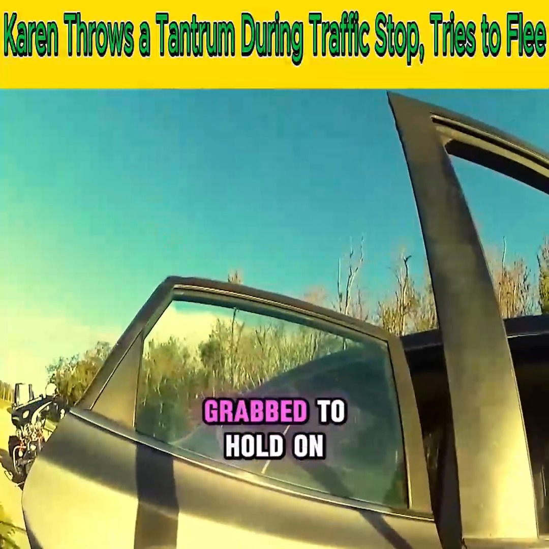 Simple Traffic Stop Turns Into Explosive Revelations #cop #bodycam