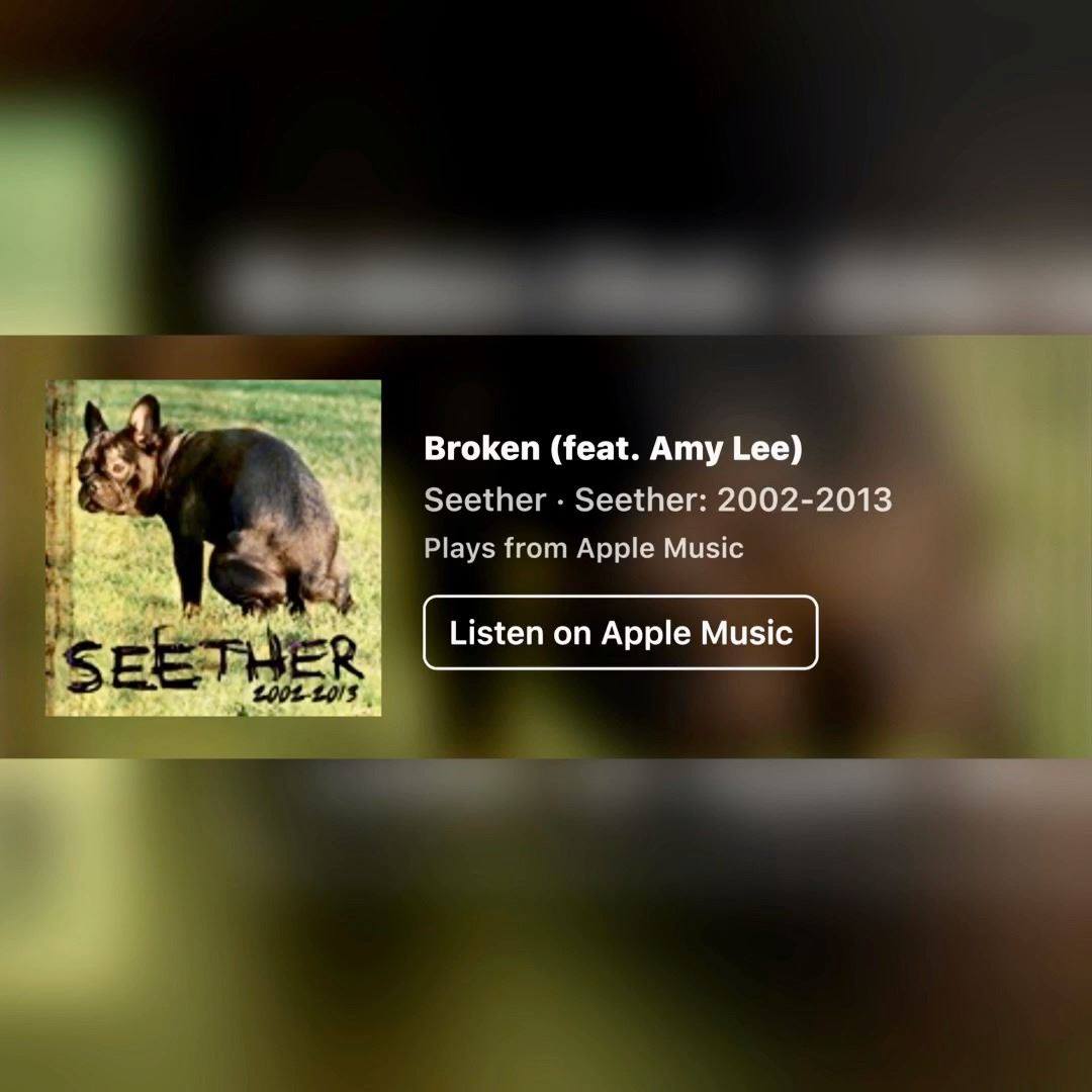 Seether Ft Amy Lee Broken Pepsi Smash 2004 Video Dailymotion