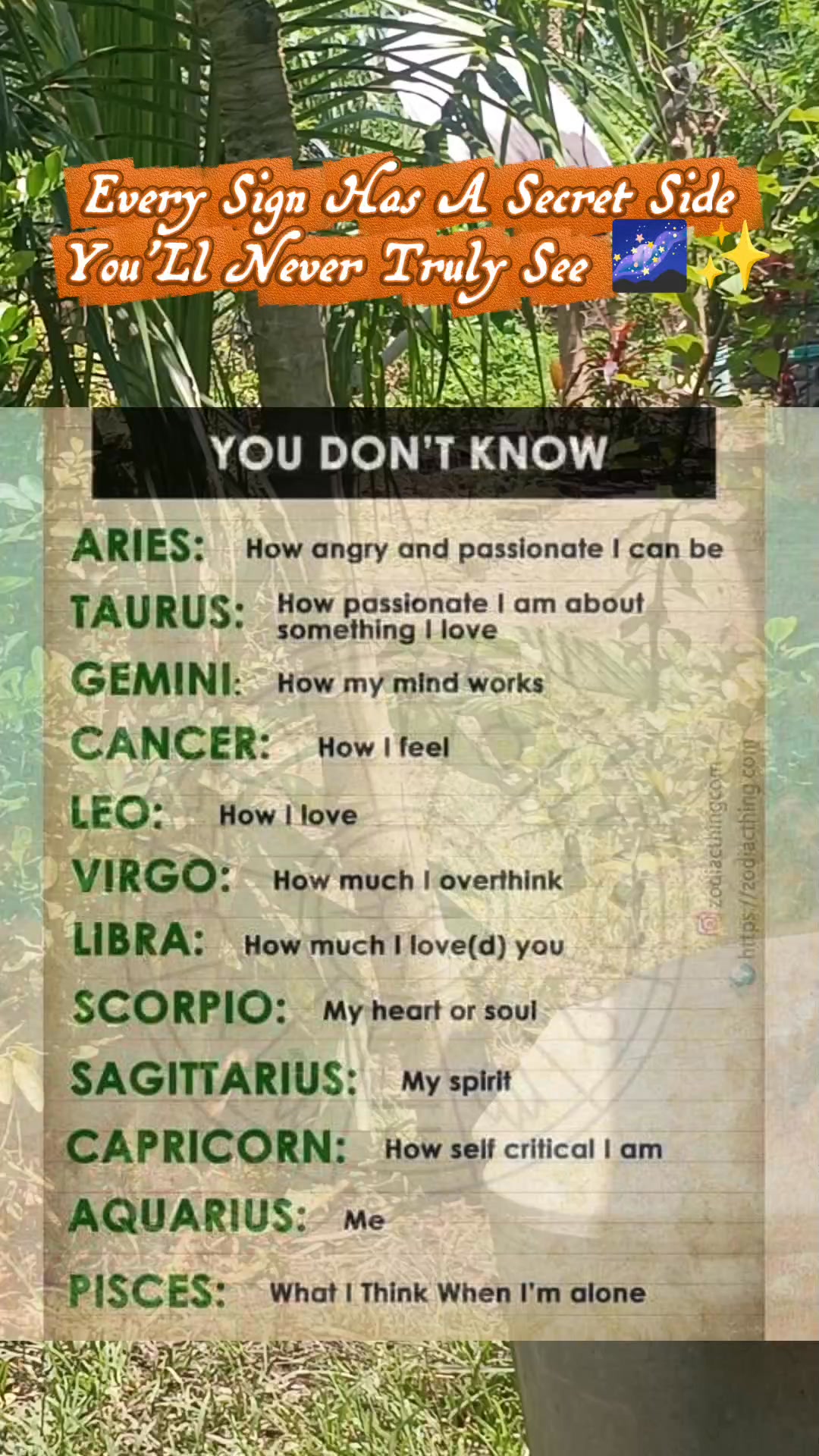 There’s always more than meets the eye 👁️ Each sign hides a whole ...