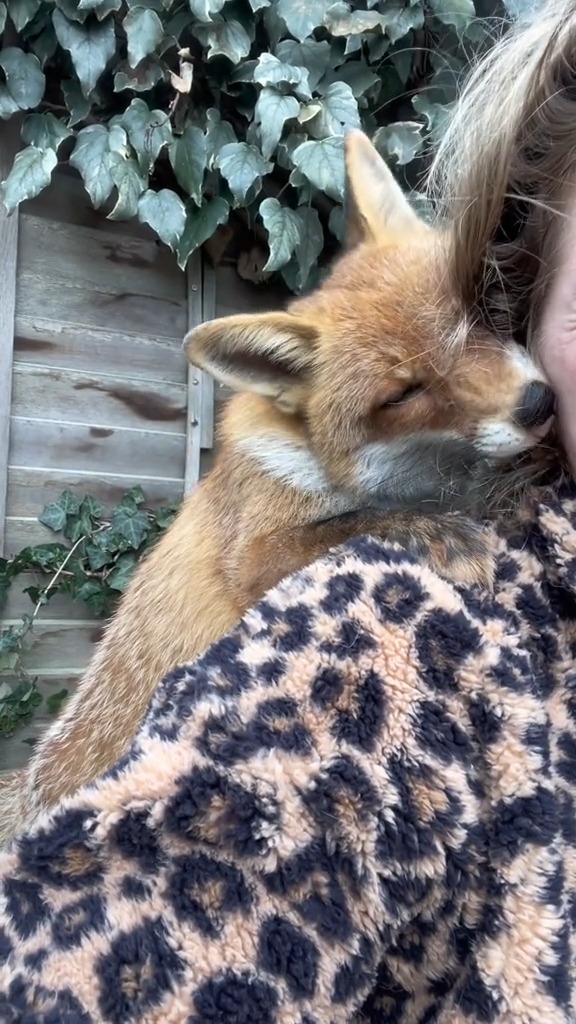 48_that means I love you in Kiki's language ♥️ #kikithefox # ...