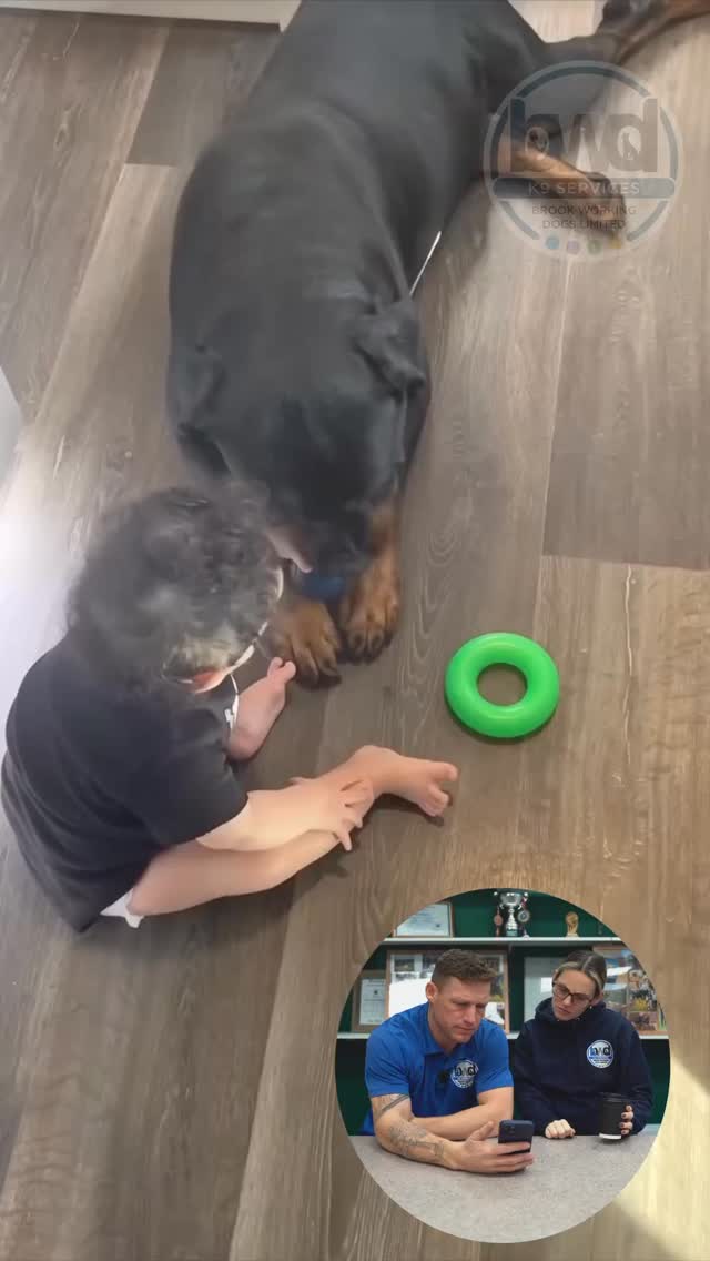A BAD EXAMPLE OF RESOURCE GUARDING Teaching your dog not to resource is ...
