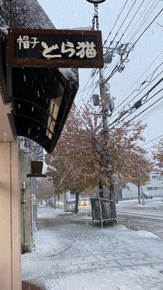 アトリエどら猫 | Asahikawa-shi Hokkaido