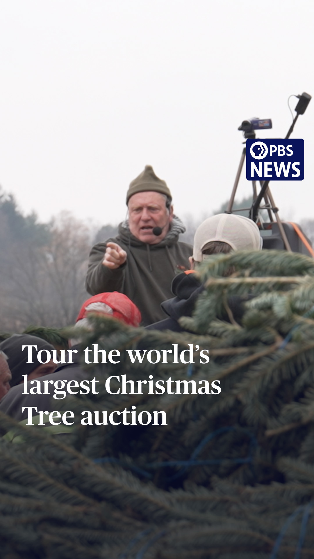 If it seems hard to pick the perfect Christmas tree, imagine going to ...