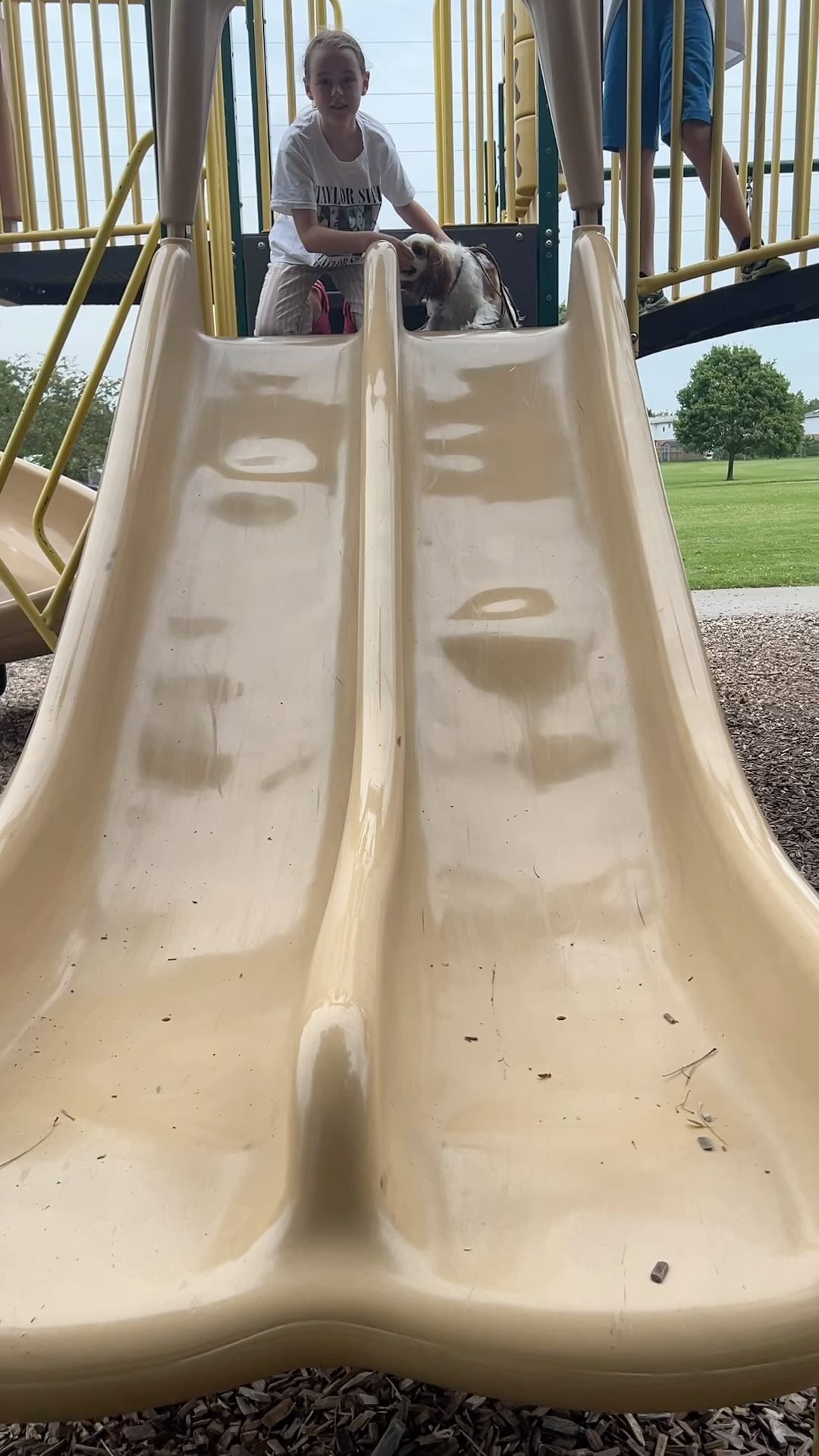 Jimmy is just starting to learn how to move backwards. Even though he ...