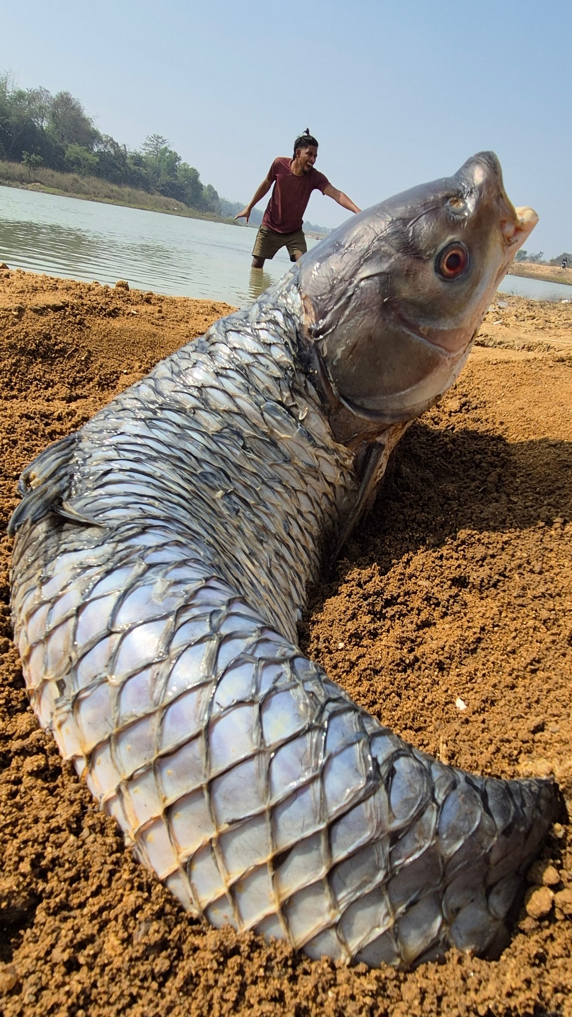 Amazing hand fishing video river dry place underground found big stuck ...
