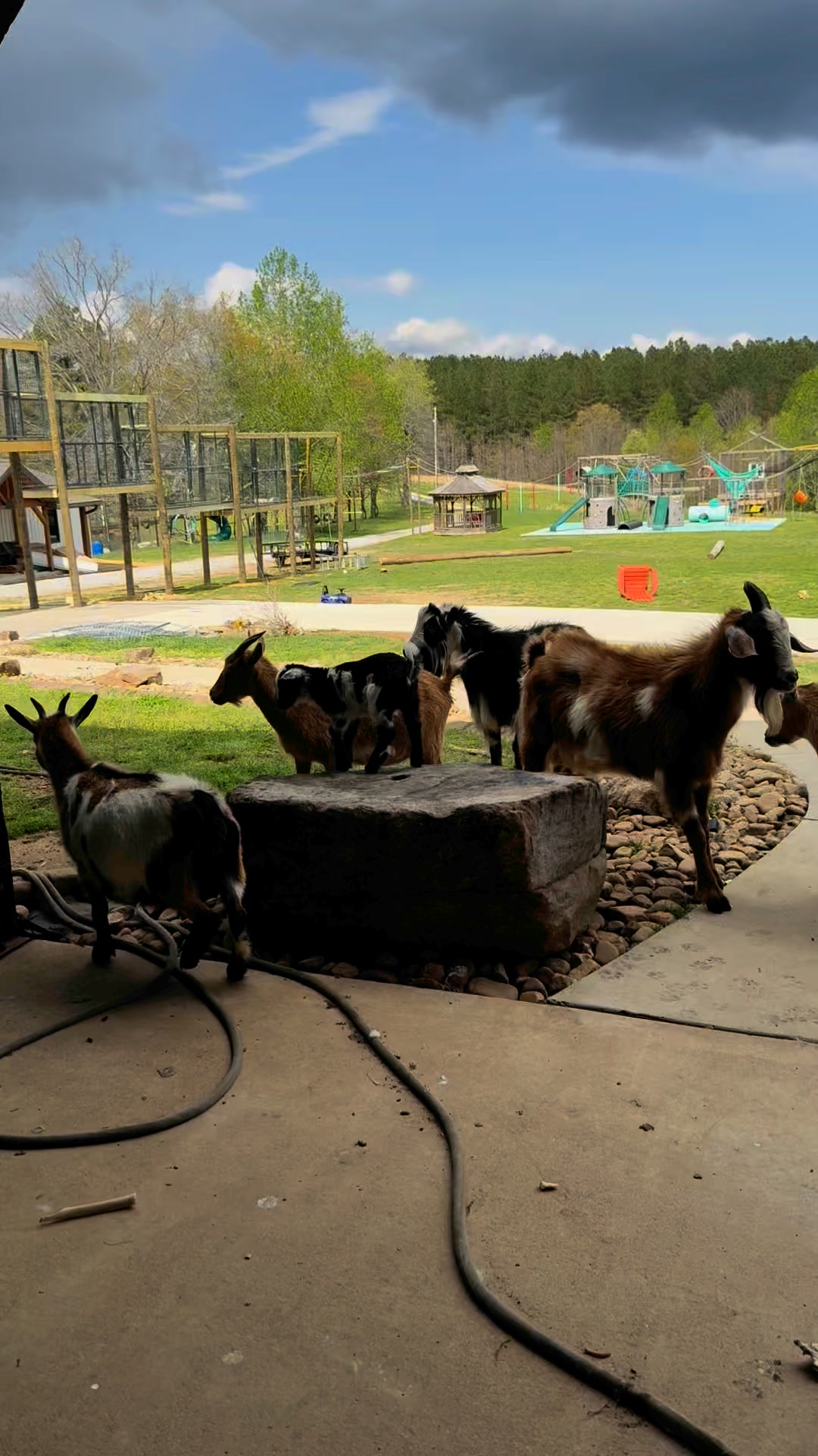 Clanton Ridge Farm