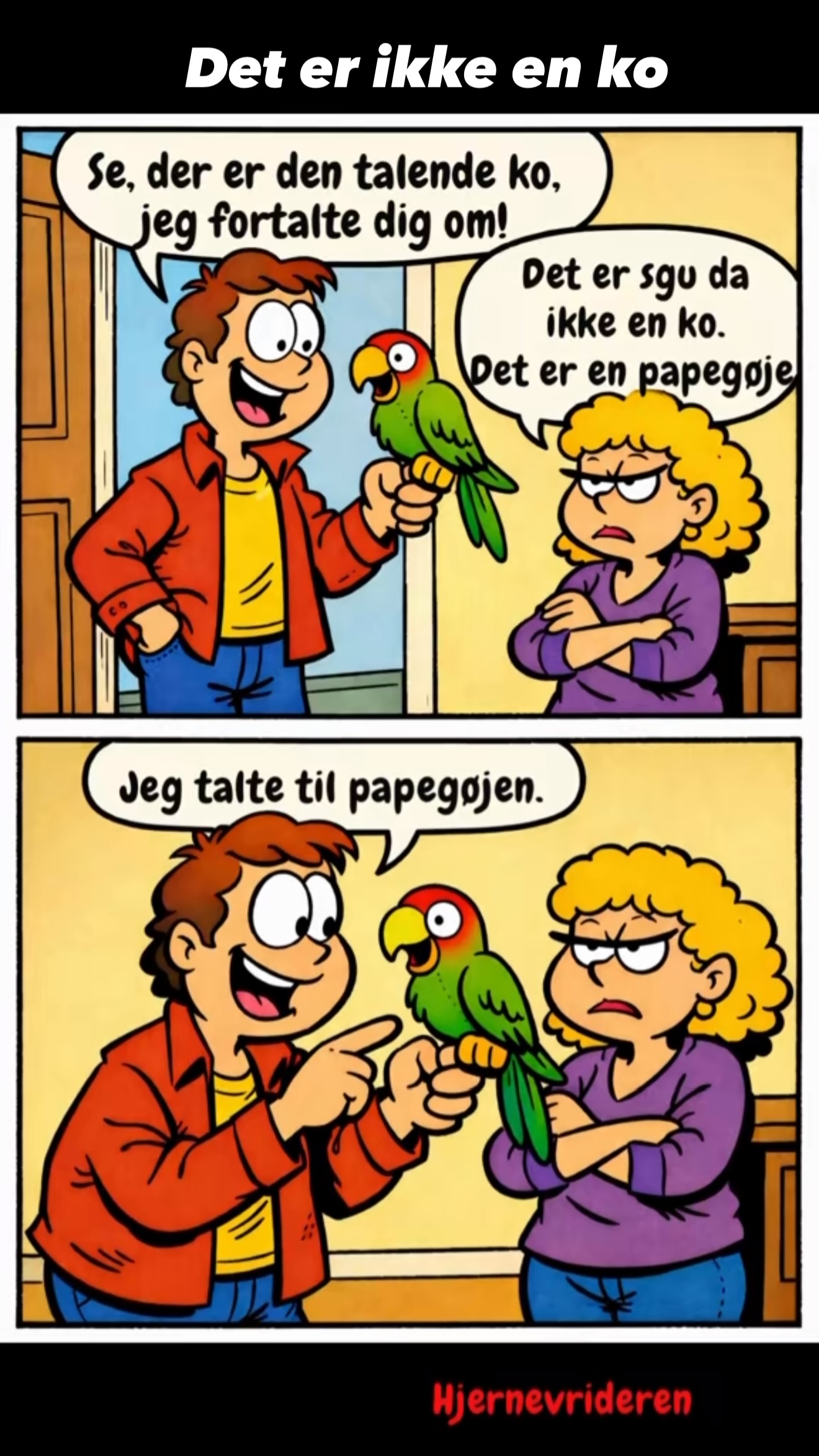 “Det er ikke en ko… 🦜😐” Når man hører noget – men ikke helt forstår det ...