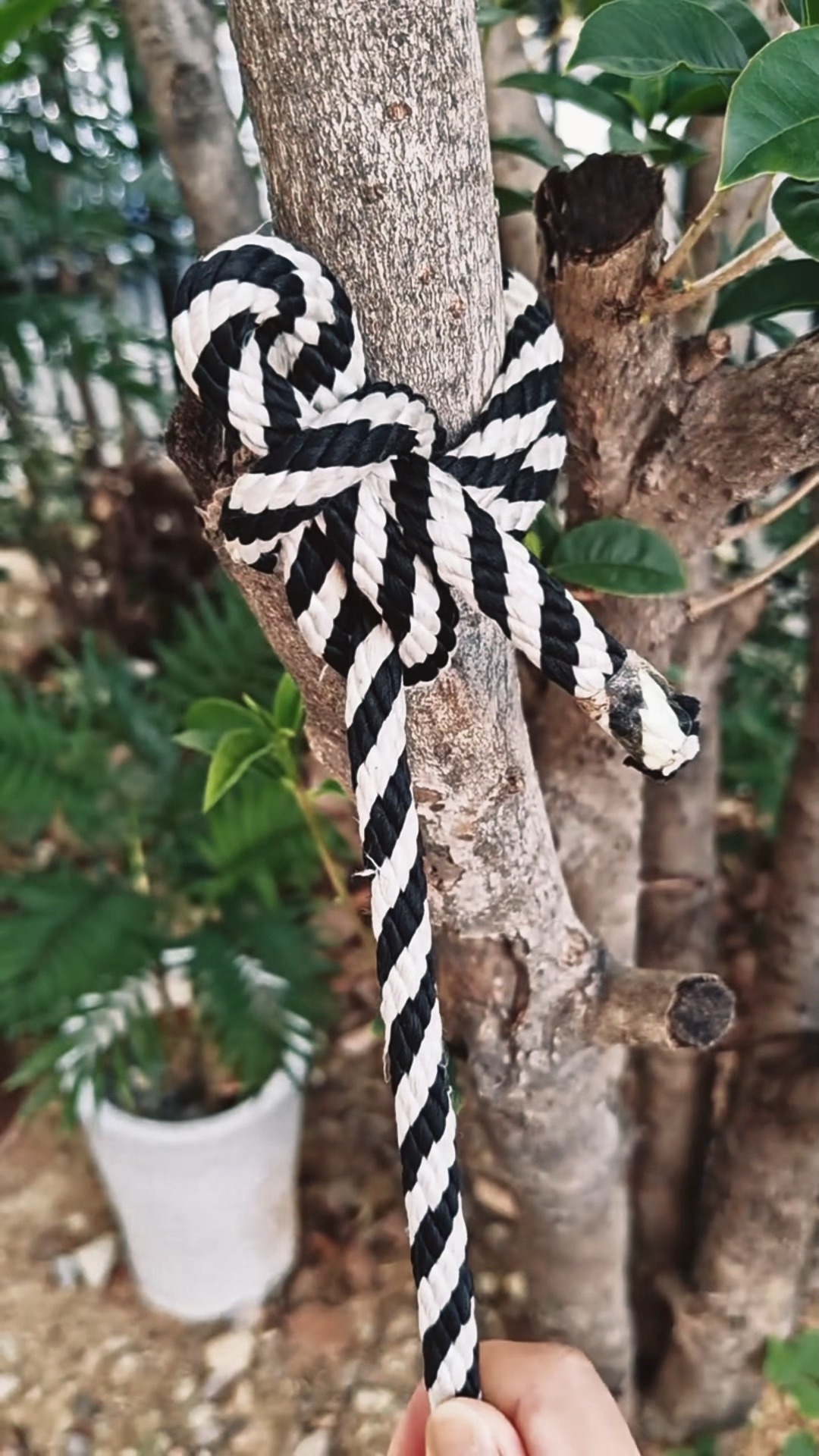 Did you learn? #rope #knot #skills #useful #fypシ #knotshort #tip #camp ...