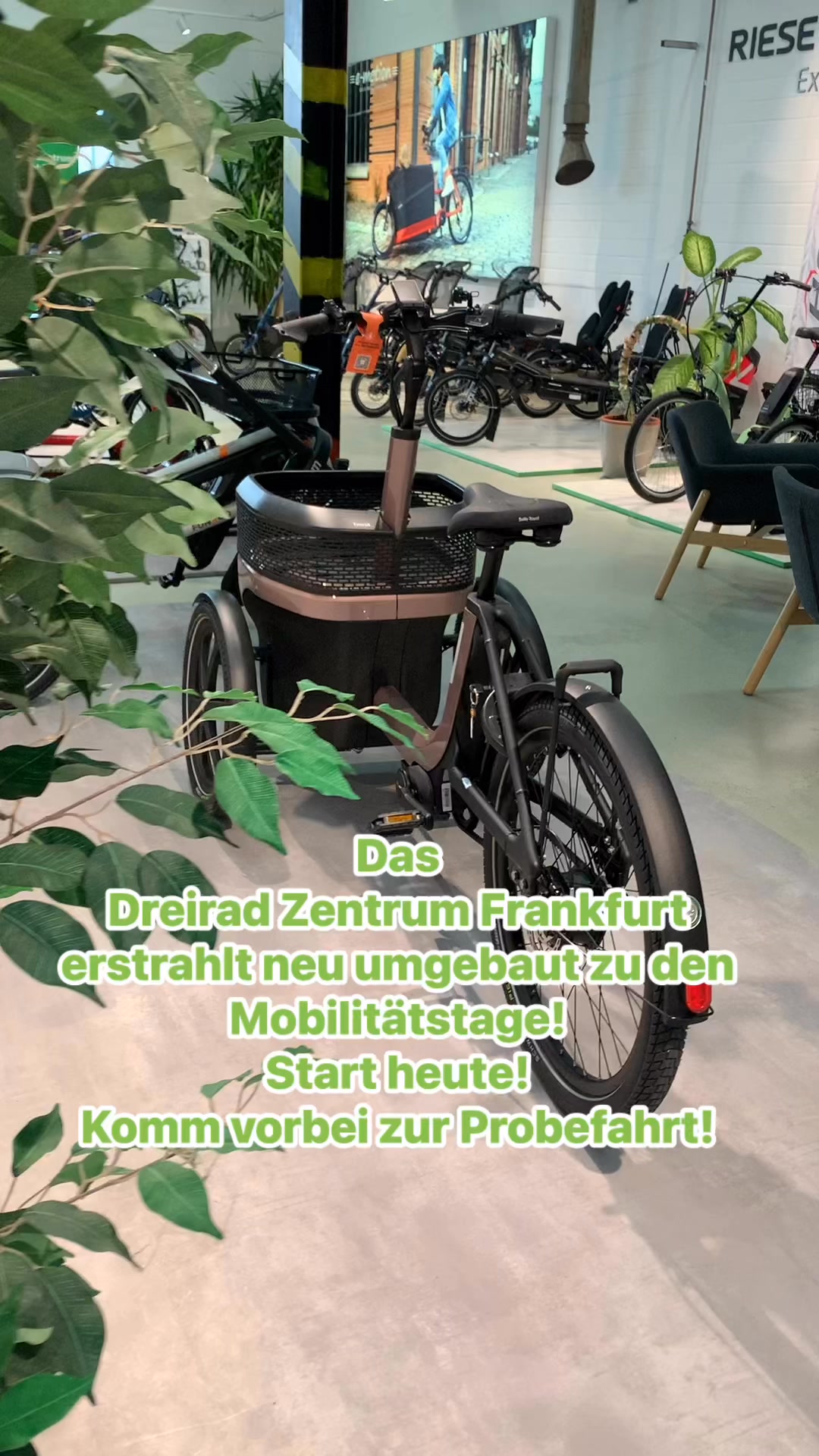 mini luftpumpe rennrad Fahrrad Minipumpe aus Aluminium fr alle Ventile